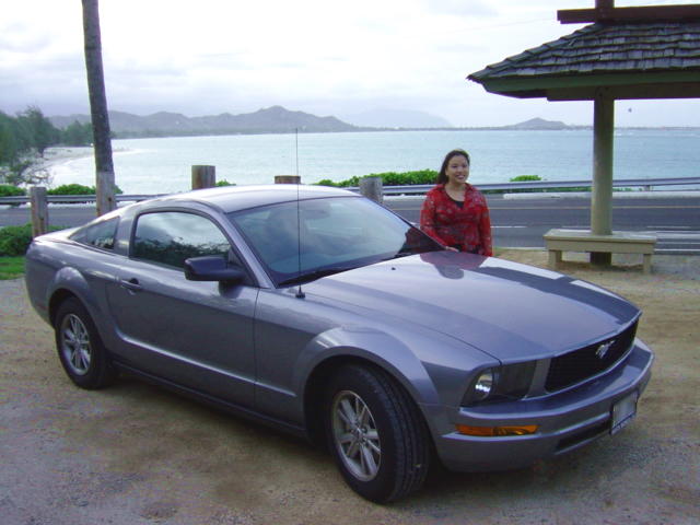 Mustang Winner 2006